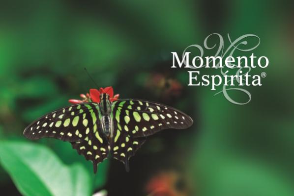 Momento Esp&iacute;rita